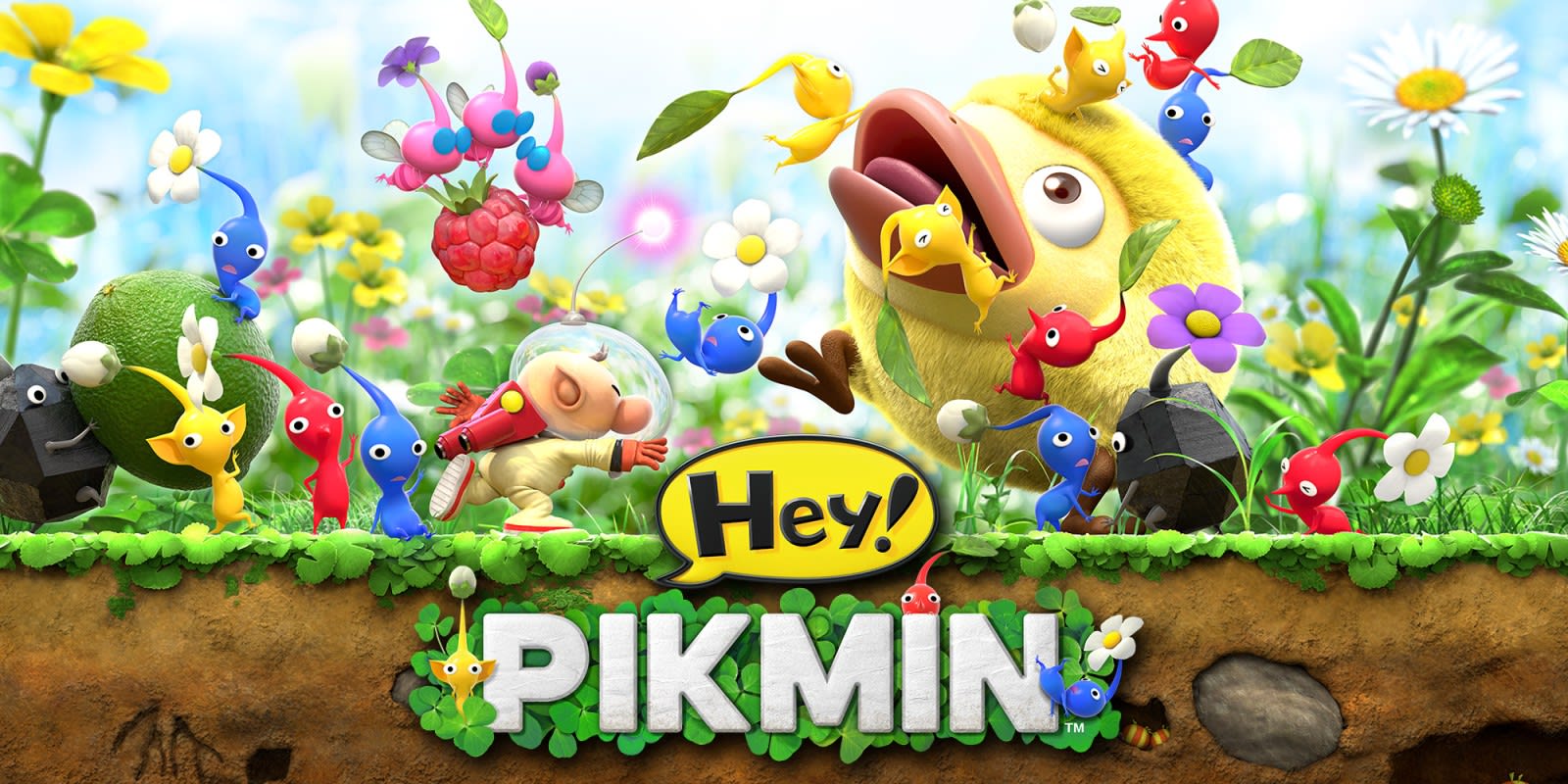 Hey pikmin rom discount